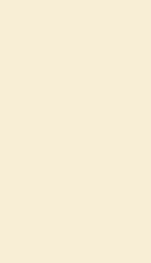 REVESTIMENTO 57141 33X57