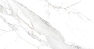 ROCHA FORTE STATUARIO 61X116